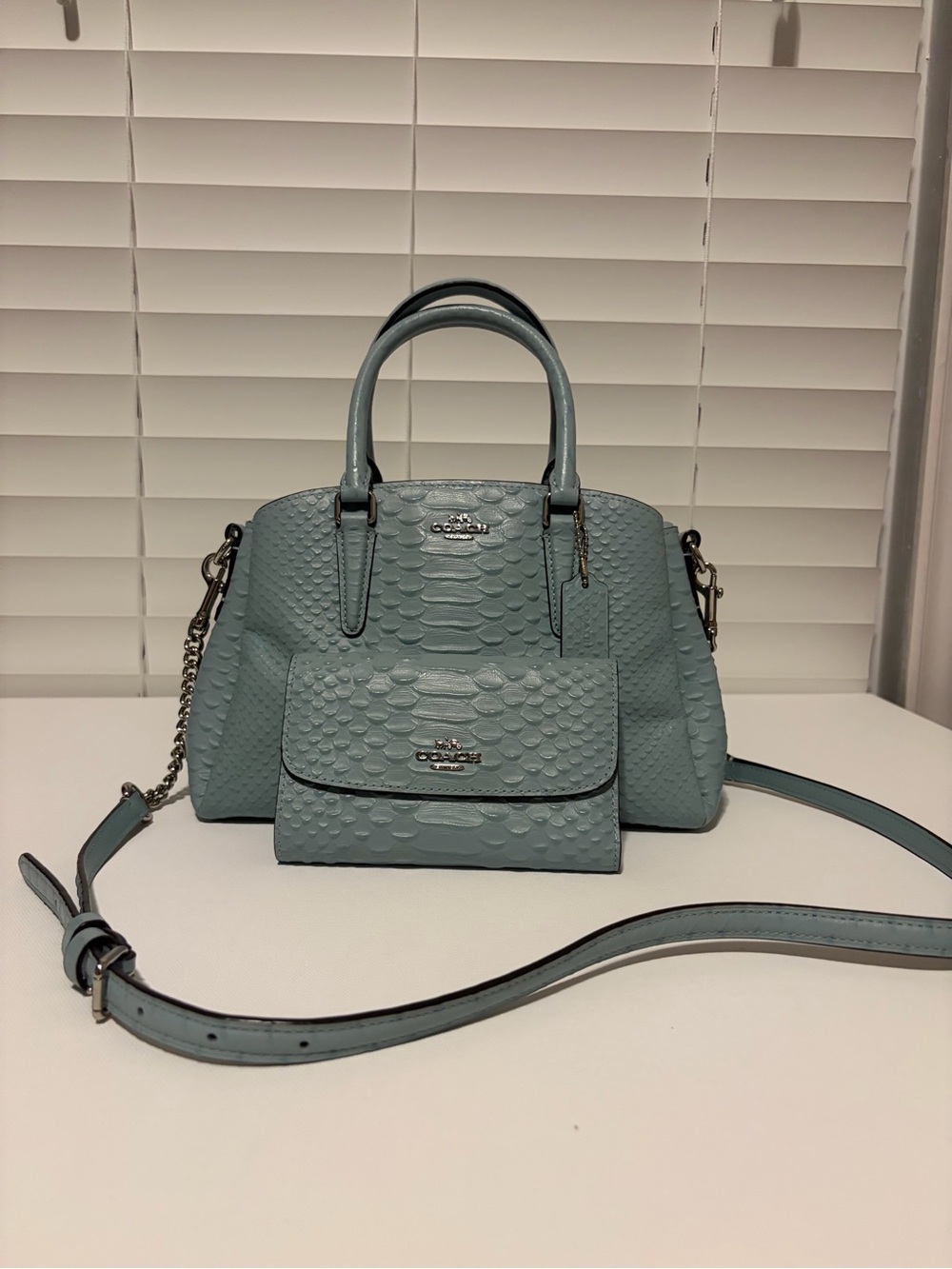 Matching COACH Seafoam Snakeskin Bag & Wallet Set 🌟